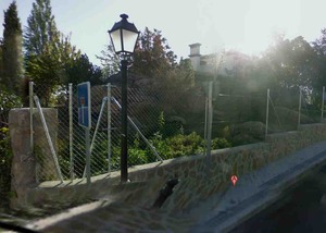 La subasta ideal para novatos